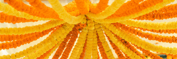 The Psychology of Colour in Events Colour Palette