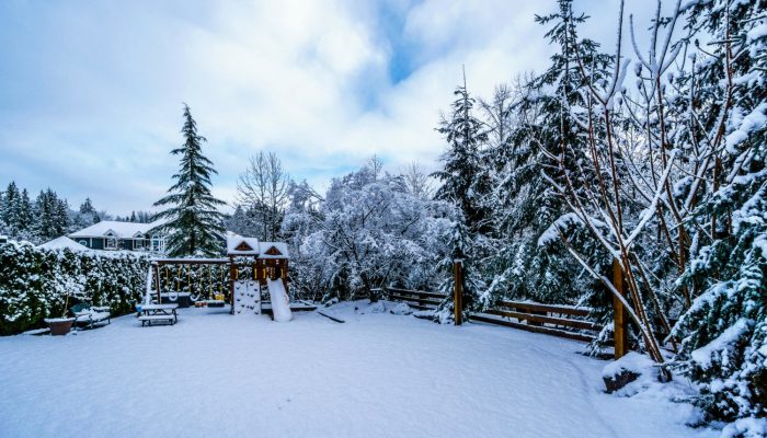 Staging Your Winter Backyard 5 Tips To Warm It Up